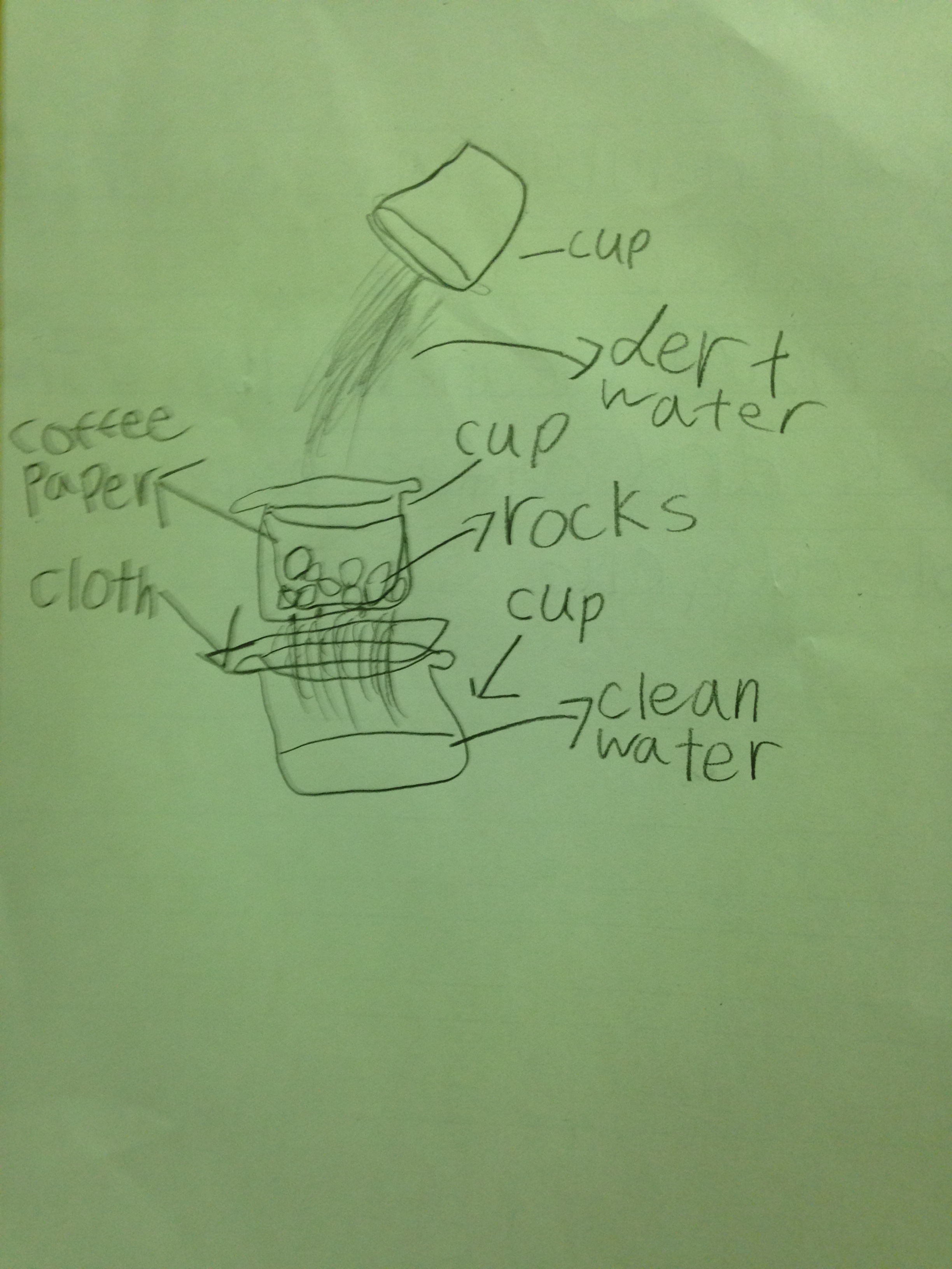 Labelled diagram. Spot the spelling error.