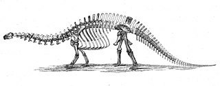 A brontosaurus diagram from the 1880s. Factually inaccurate. 